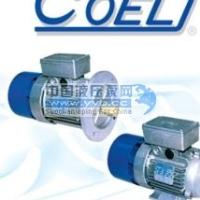 ��Ӧ �����coelɲ��