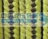 Ӧoilseals 5̸