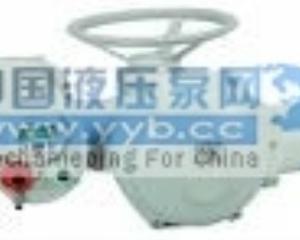 ��Ӧ�������ɵ�BERNARDִ�л���