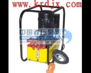 ��ӦEPRϵ�� ͬ���綯��