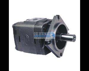 ��ӦIGP-5-160 IGP-5-125 IGP-5-250 ϵ�������ϳ��ֱ�