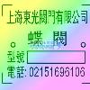 Ӧе׵