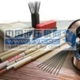 ��Ӧģ��****