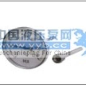 ��Ӧ����ʽ˫�����¶ȼ�WSS-403S