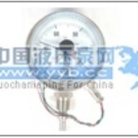 ��Ӧ��ӵ�˫�����¶ȼ�WSSX-404