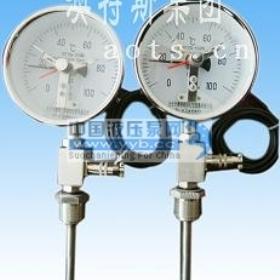 ��ӦҺ��ѹ��ʽԶ����ӵ��¶ȼ�WTYY-1021X