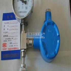 ��ӦҺ��ѹ��ʽԶ�������¶ȼ�WTYY-1021B