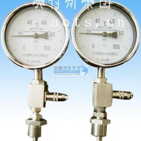 ��ӦҺ��ѹ��ʽԶ���¶ȼ�WTYY-1021