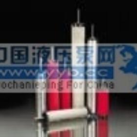 ��Ӧ����ɭ��о