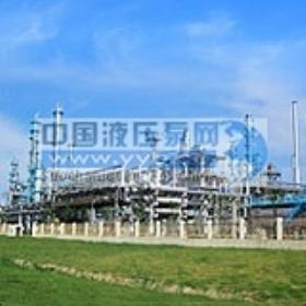 �󹺹��������-�ൺ���ݸ��ﻯ��