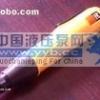  ��Ӧ̨��ð��ֵ���ASA-2000/3000/4000/4500����ͬ�˼�