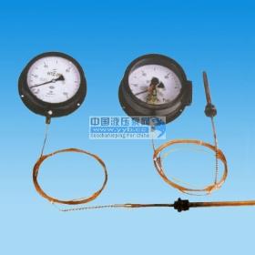 ���δ�����Ӧѹ��ʽ�¶ȼ�WTQ-280