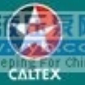 �ӵ�ʿ���������֬Caltex RPM Grease SRI 2