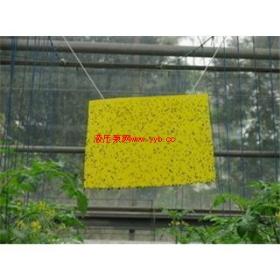 �Ϸ��ճ��۸�|�Ϸ��ճ��۸�|�Ϸ��ճ��������רҵ��