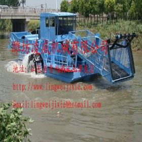 �����ʿ�ɰ��е��--Ϋ����������е����ѡרҵ����