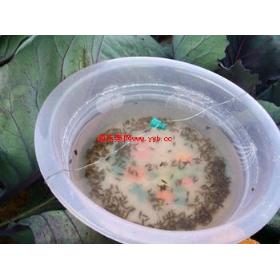 �Ϸ�������Ϣ��|�Ϸ�������Ϣ������|�Ϸ�������Ϣ�ع�Ӧ������