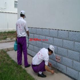 ����С����ͥд��¥�ֿ�רҵ������ѡ�����Ϲ��Ļ�ɱ�湫˾