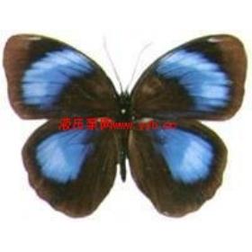 ������Ϣ���ճ��۸�|������о�۸�|����������Ϣ����о�۸�