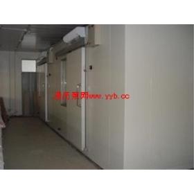 ��������Ƽ�