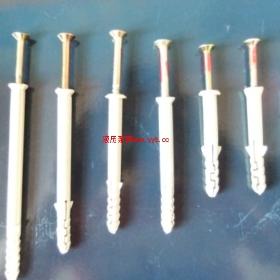 ����ѡ��ʢ��****�͹� ����****�͹�