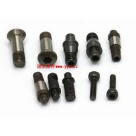 ������Զ������ģ������ר����