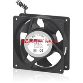 �㶫�������