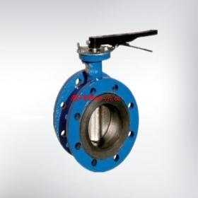 ����D41X ���ܷ������˹�ط��ų���ֱ��