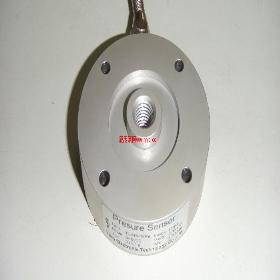 �㶫�����ַ�ʽ��ѹ������YL-215-100KG\500KG