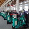 OEMֱ20KW翵˹ͷ