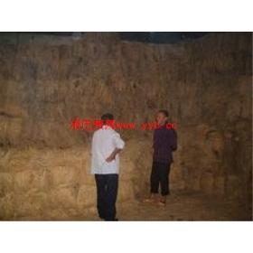 ���õ��ƶ�����Һѹ���������Ӧ��_רҵ�ĵ���Һѹ�����