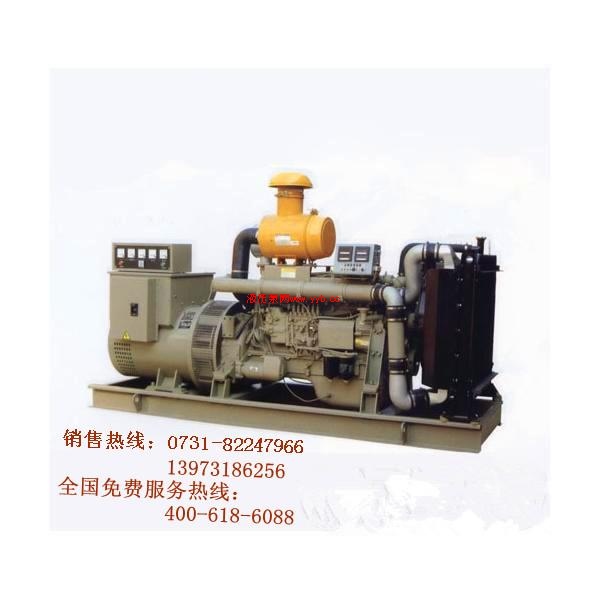 ɽ��Ϋ�񷢵���� Ϋ����ͷ������ ����