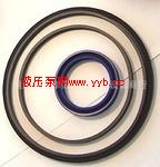 CLF170-100��ѹ���͸��������ۡ�չ�ݻ��硿