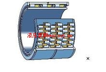 ͺNSKĹ6000ZZCM