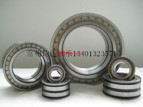 SL183005 NCF3005CV 