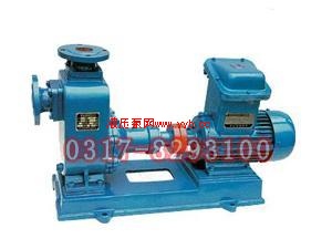 ��Ӧ80CYZ-13����ʽ�����ͱ�