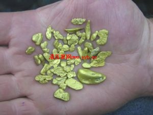 ������е���޹�˾�Խ𴬹����Ƚ���������