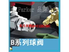 ɿParker Bϵ