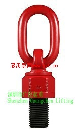 HASCO׼ǿת˿Swivel hoist