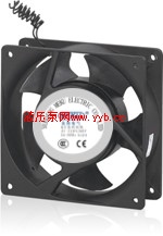 �㶫�������