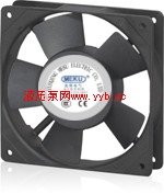 �㶫�������