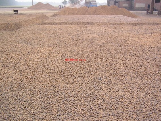 ����������������Ӧ ���ݵ���רҵ��Ӧ��