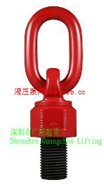 Swivel hoist ring exporters