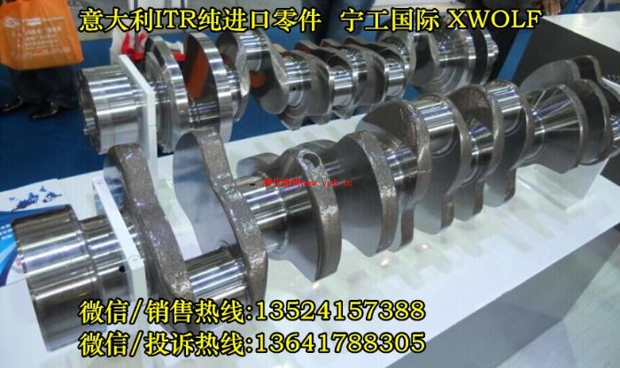 D8L/K/T/H֧ Բ